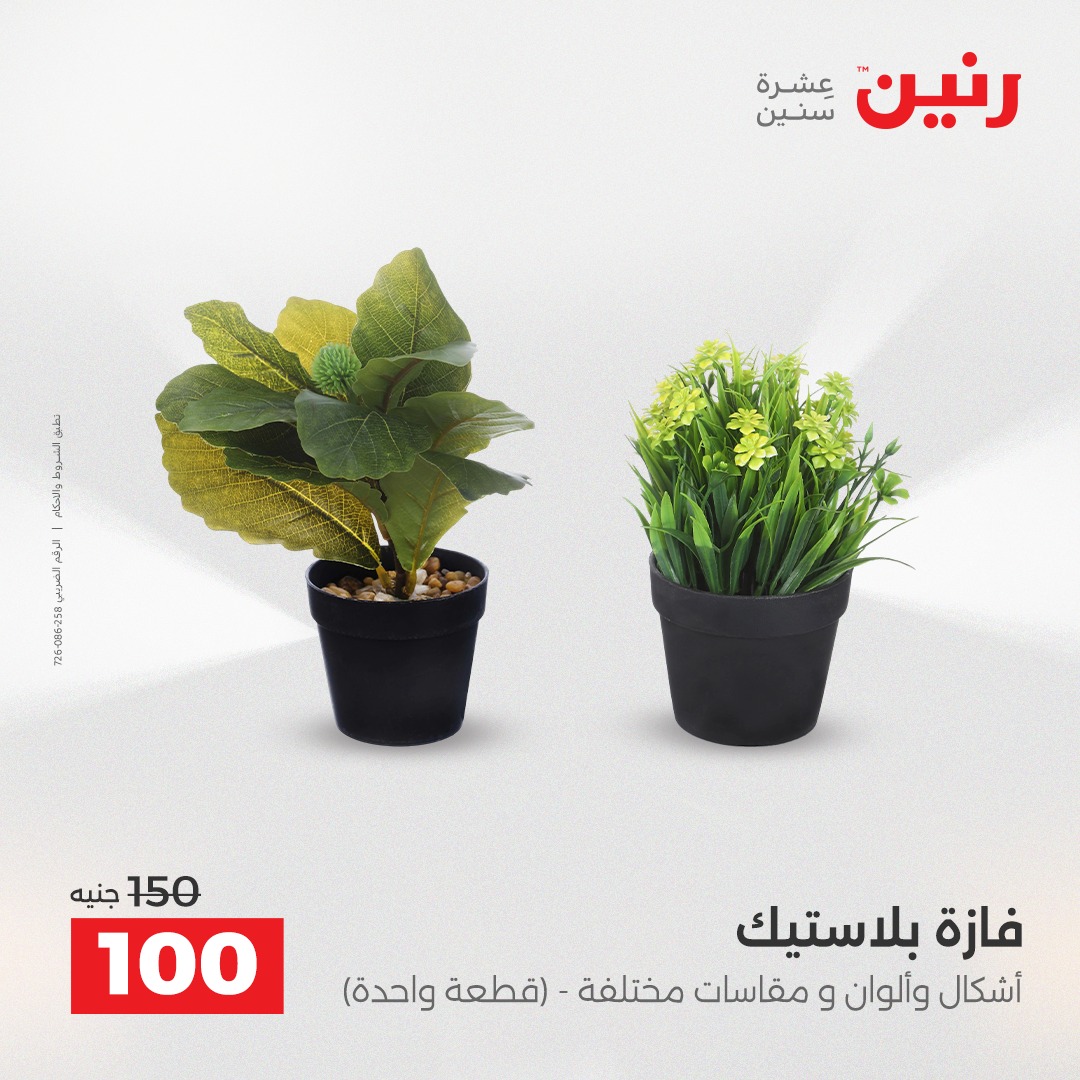 raneen offers from 23dec to 24dec 2025 عروض رنين من 23 ديسمبر حتى 24 ديسمبر 2025 صفحة رقم 32